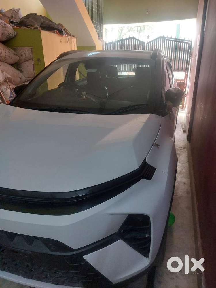 Tata Nexon 2024 Petrol Well Maintained