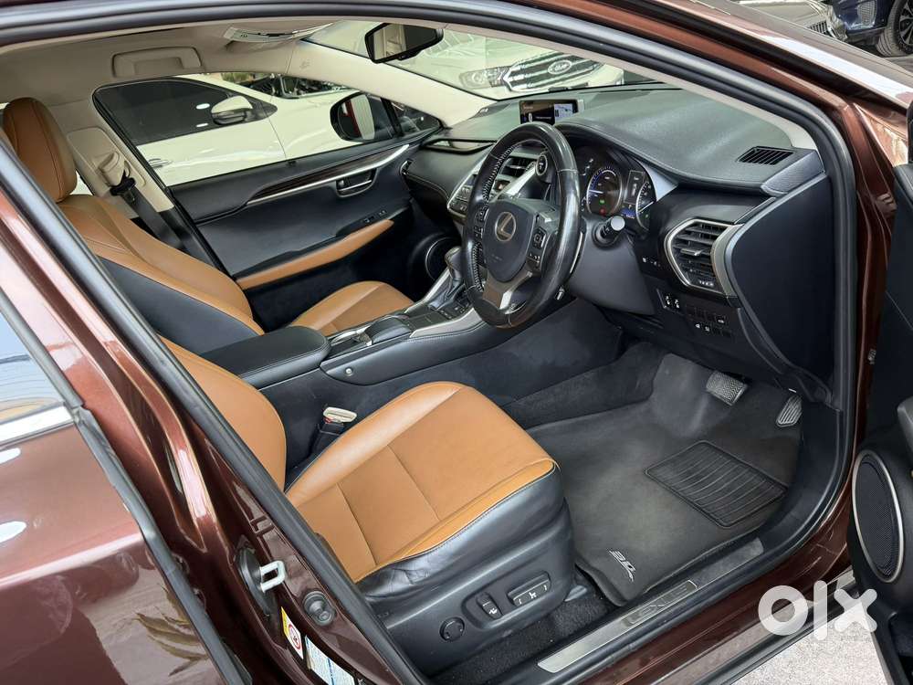 Lexus Nx Lexus-nx-300h-luxury, 2018, Petrol