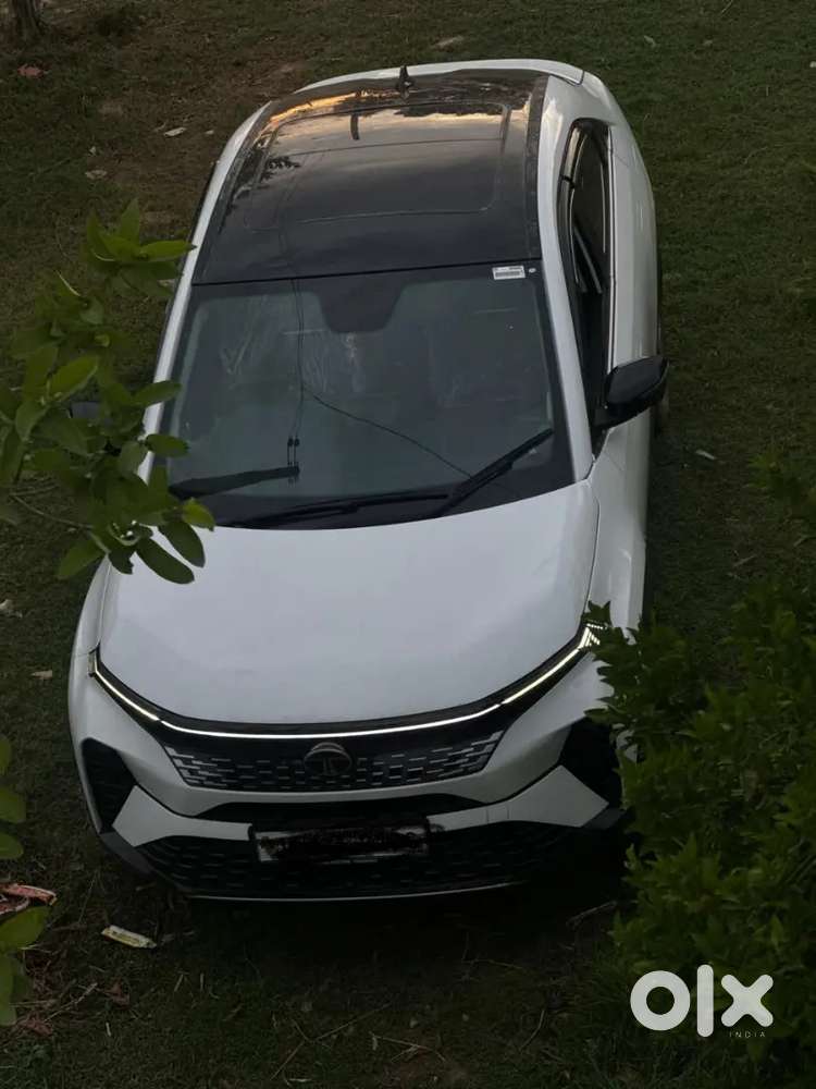 Tata Curvv 2024 Petrol 7215 Km Driven