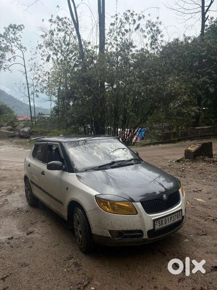 Skoda Fabia 2010 Petrol Well Maintained