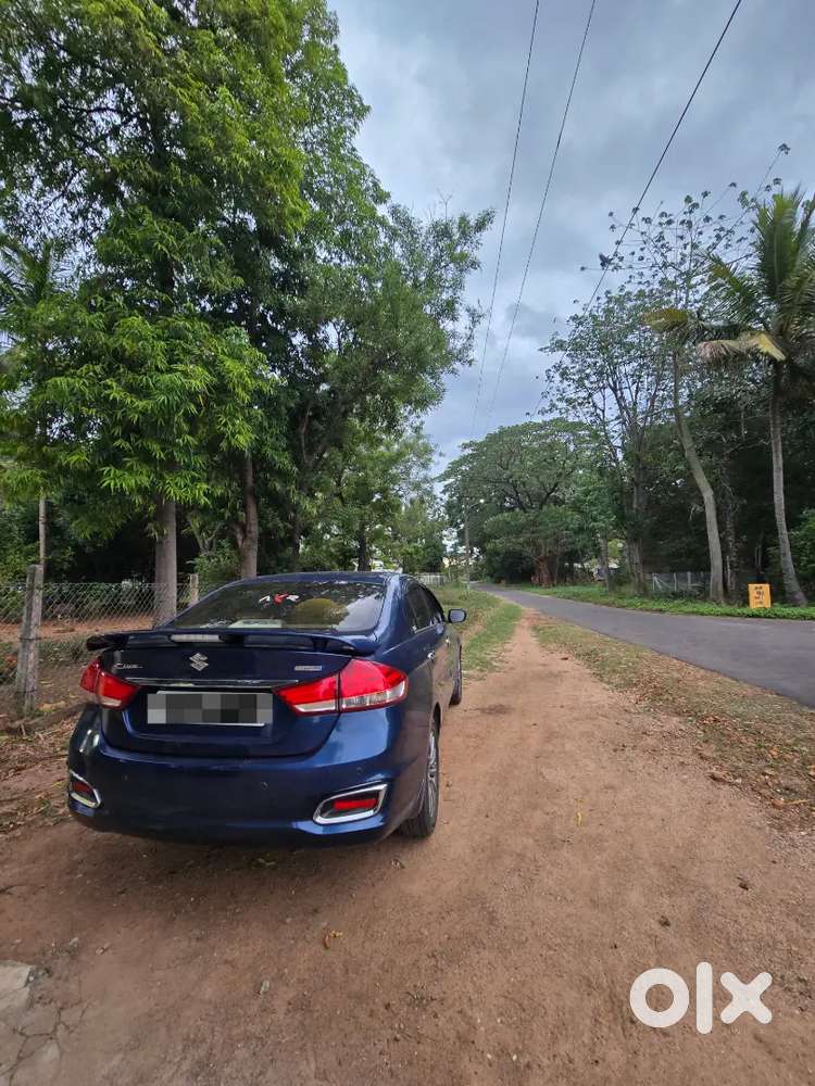 Maruti Suzuki Ciaz [alpha]