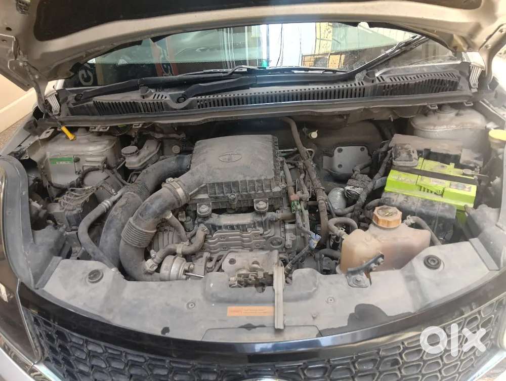 Tata Nexon 2019 Petrol Well Maintained