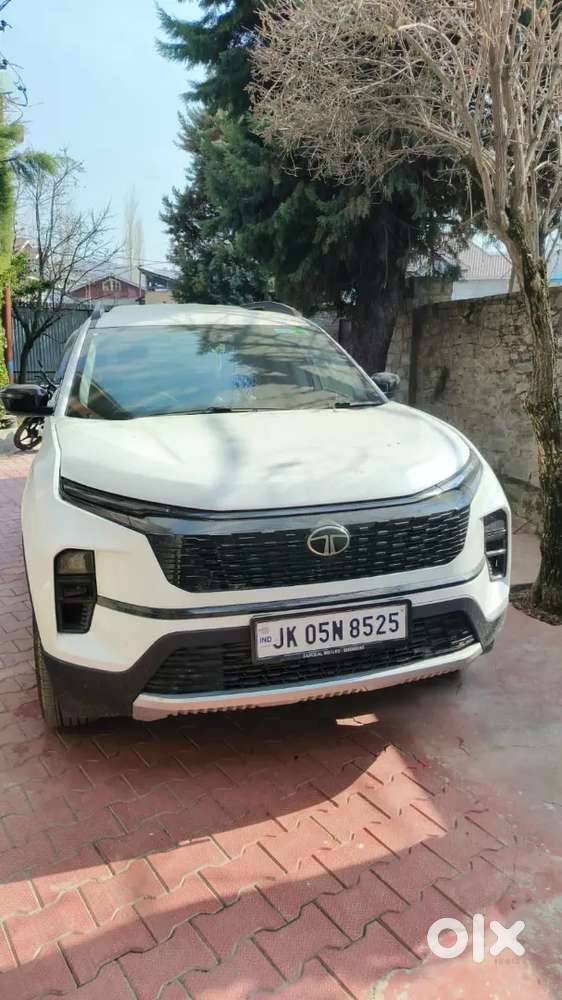 Tata Safari 2025 Diesel Well Maintained