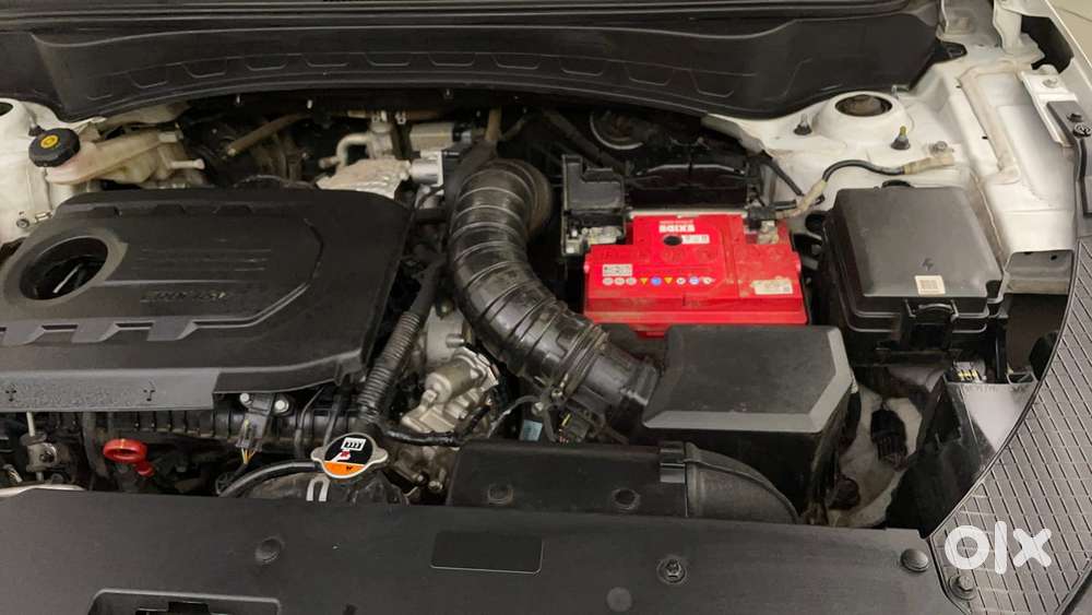 Kia Seltos 1.5 Gtx+ Diesel At, 2023, Diesel