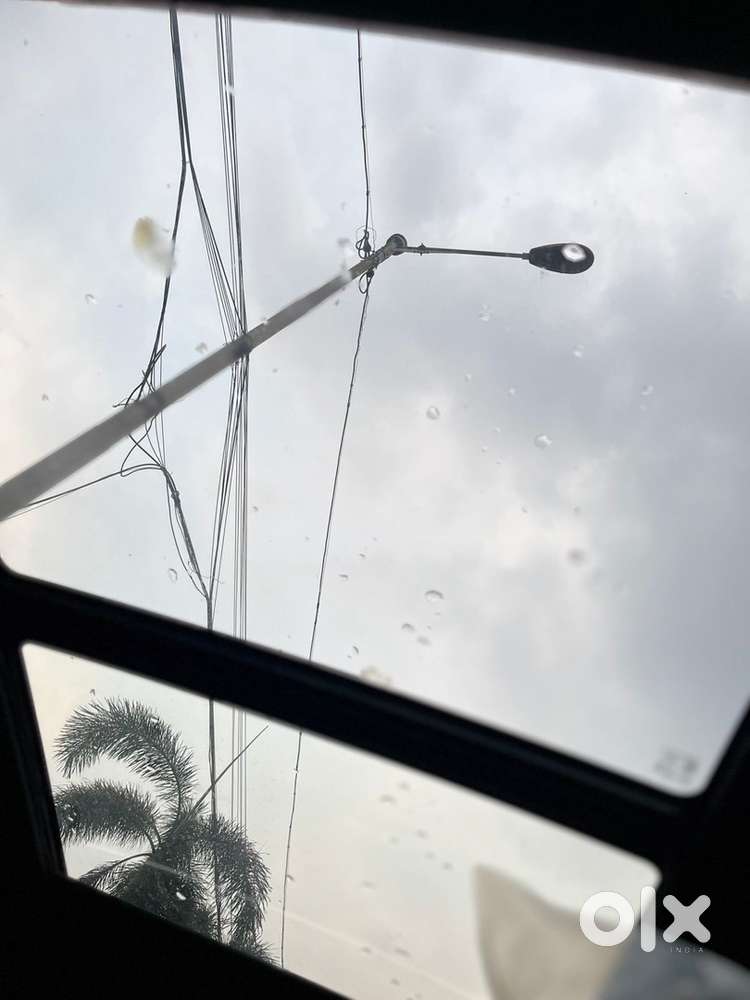 Kia Seltos 2025 Petrol 10500 Km Driven