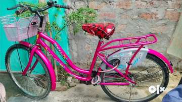 Old cheap lady bicycle