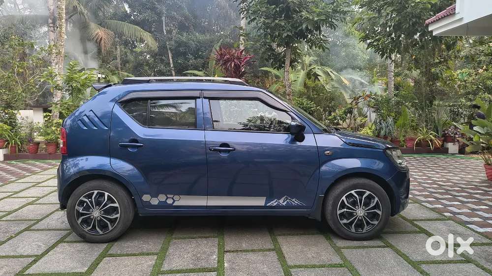 Maruti Suzuki Ignis 2021 Petrol 48500 Km Driven