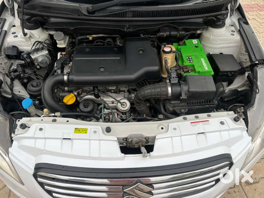 Ciaz Maruti Diesel 2014