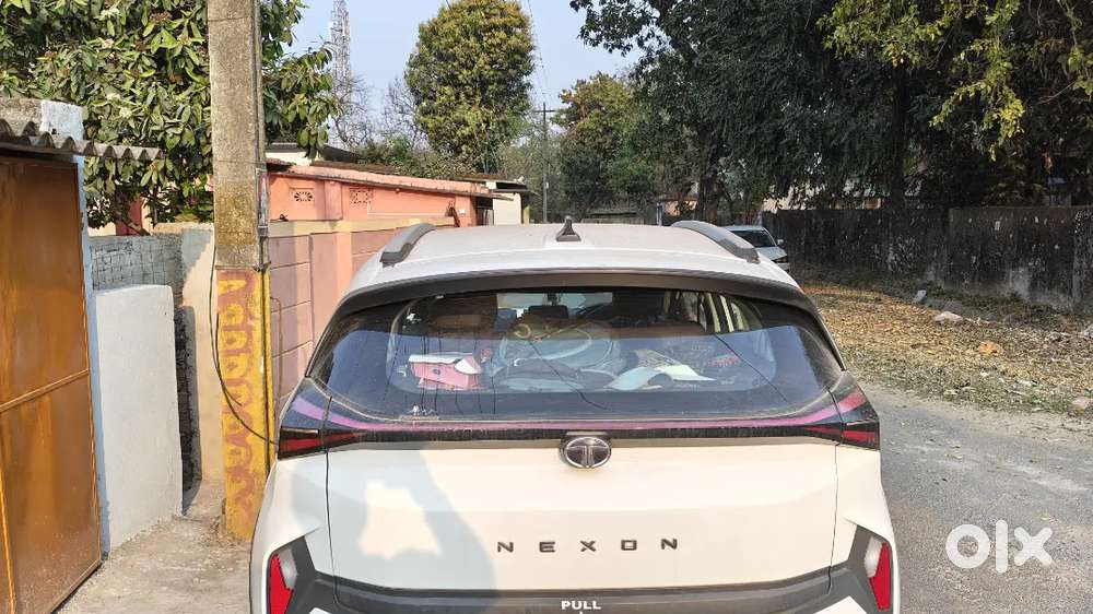 Tata Nexon 2024 Petrol Well Maintained