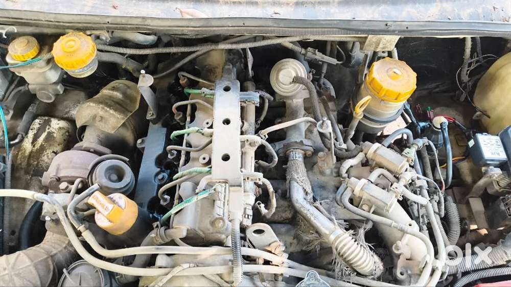 Tata Safari Adventure