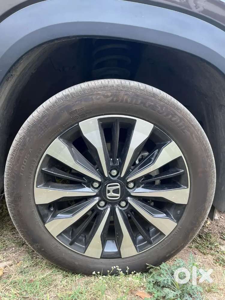 2025 Elevate Zx Automatic