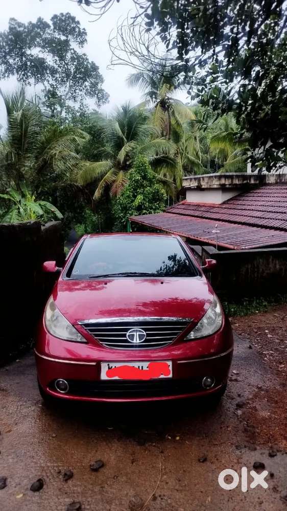 Cherry Red Indica Vista 2013 Model
