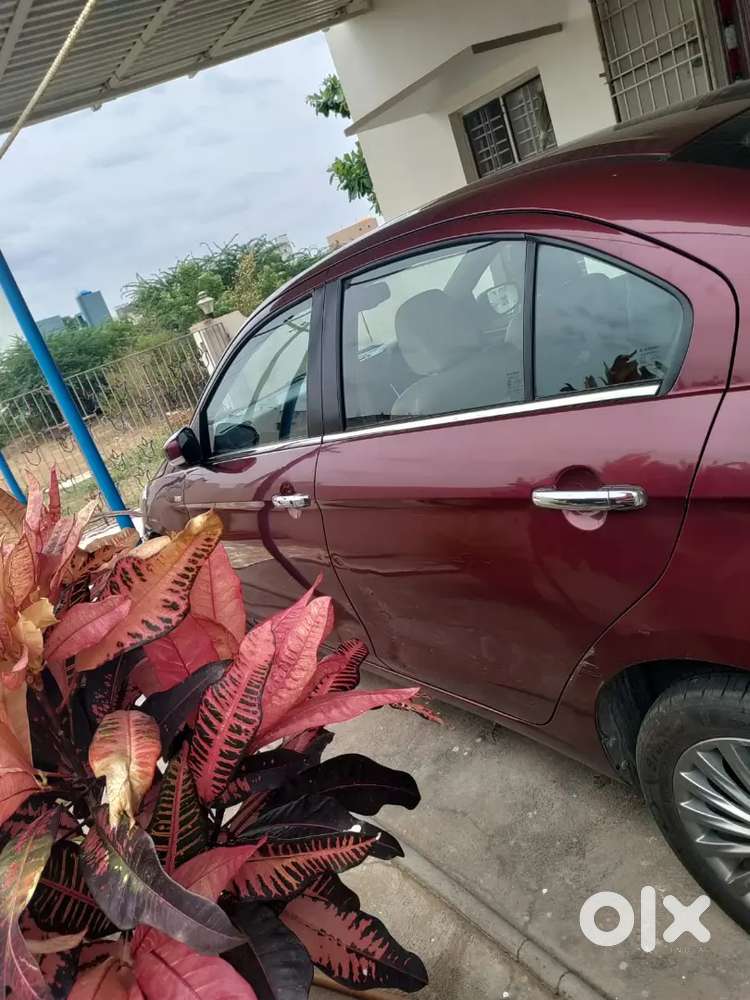 Maruti Suzuki Ciaz 2016 Diesel Car