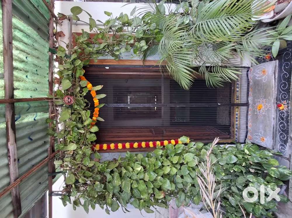TOLET For Bachelors