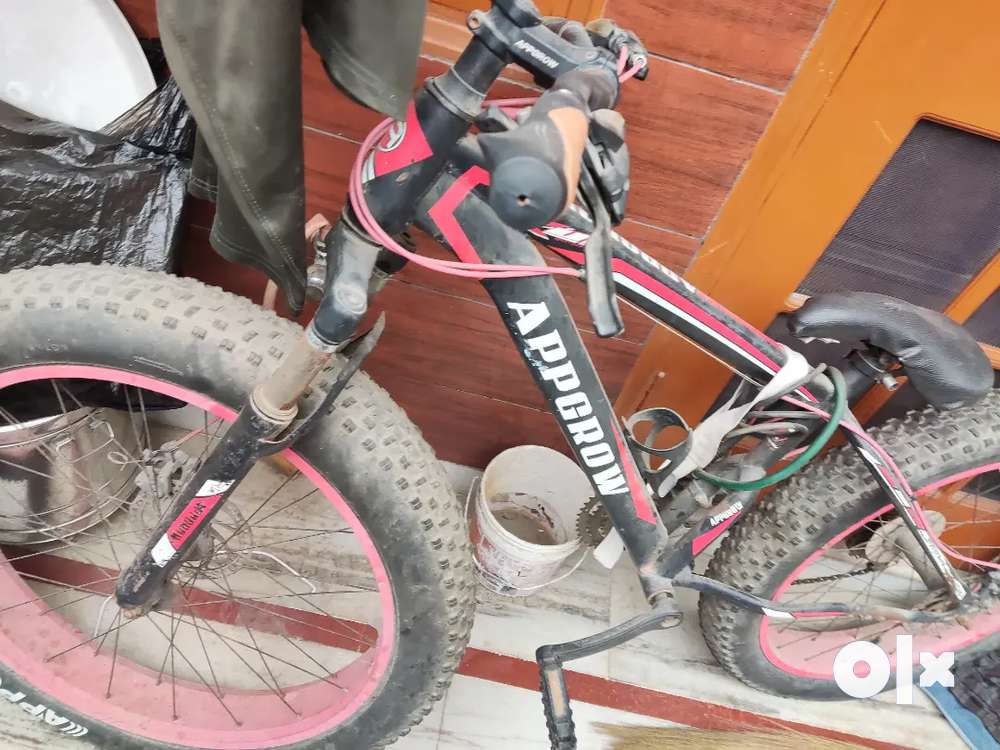 Fat tyre cycle best sale olx