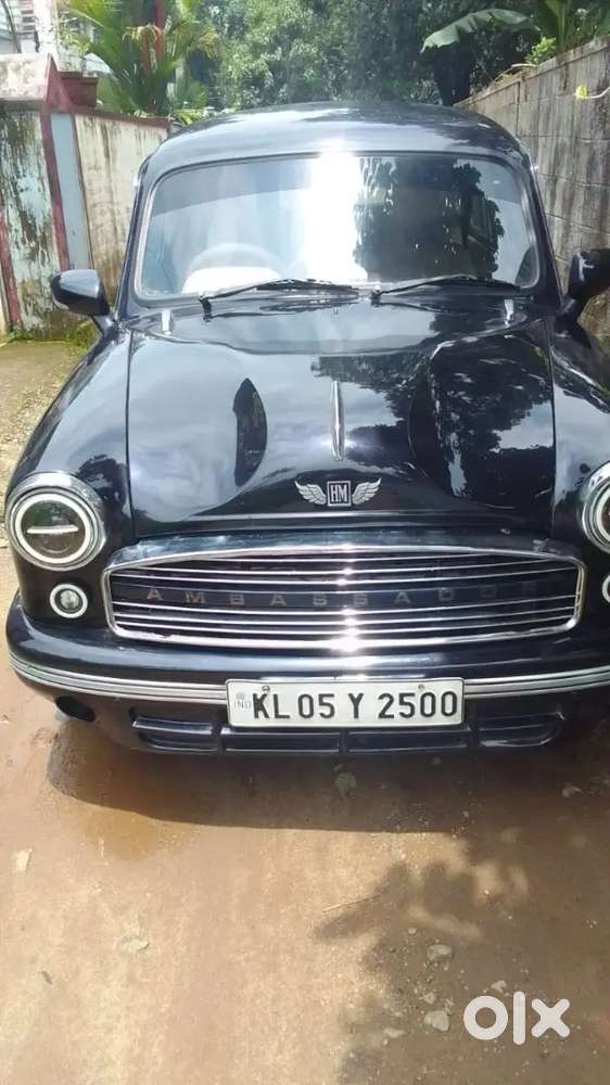 Ambassador