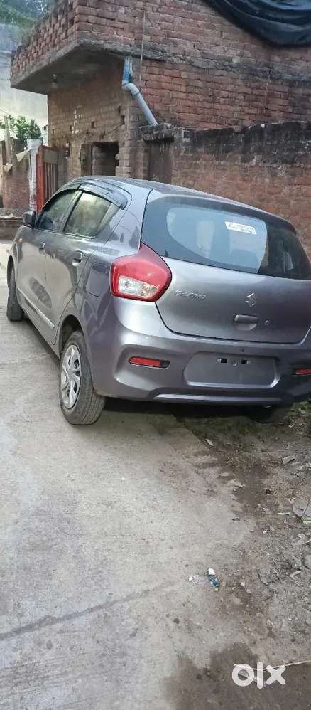 Maruti Suzuki Celerio 2025 Petrol 8000 Km Driven