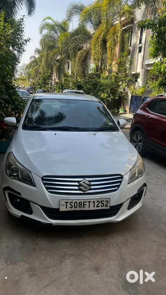 Ciaz Maruti