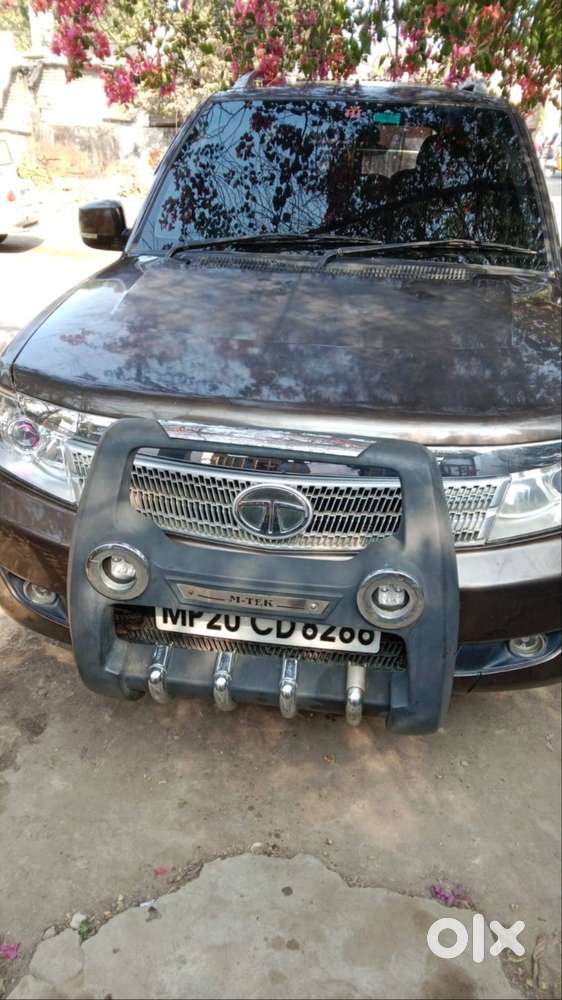 Brand New Tata Sarafi Strome