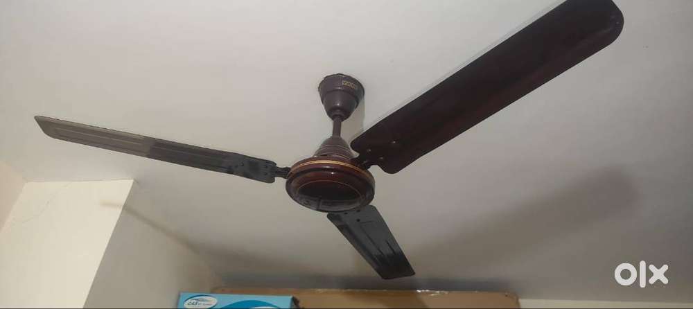 Ceiling fans