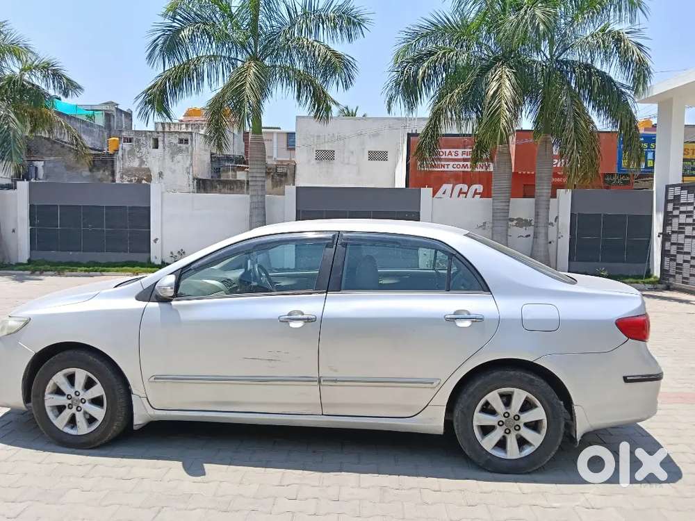 Looking For A Car
