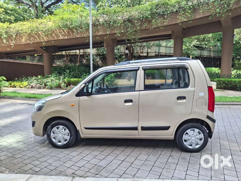 Well Maintain Wagoner