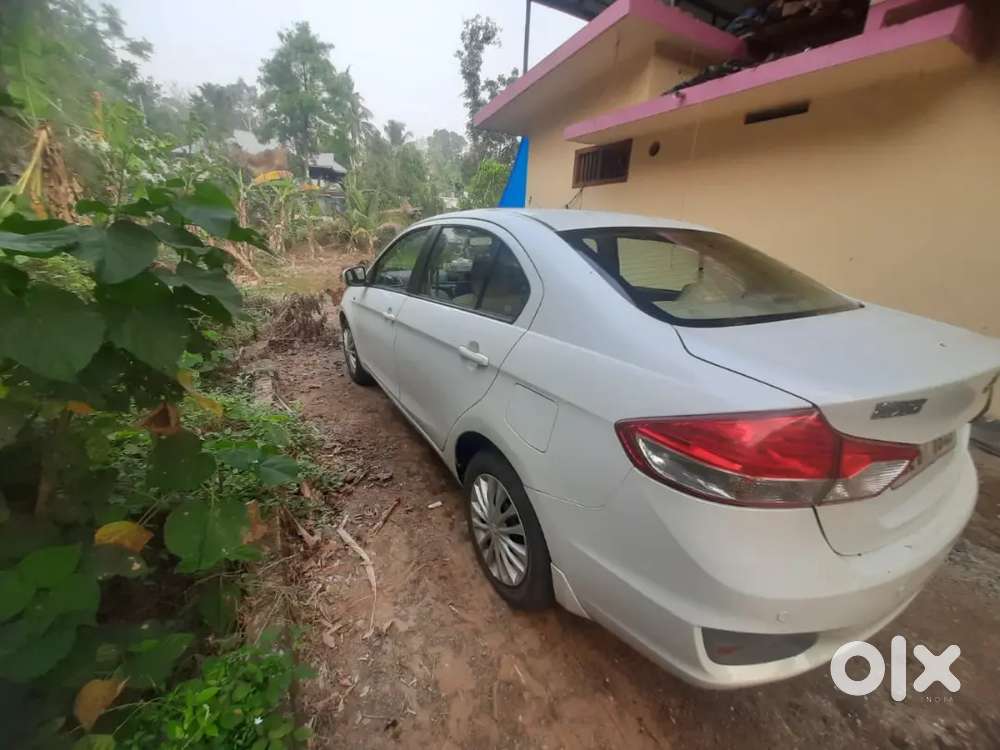 Maruti Suzuki Ciaz 1.3 Vdi 2015 Model