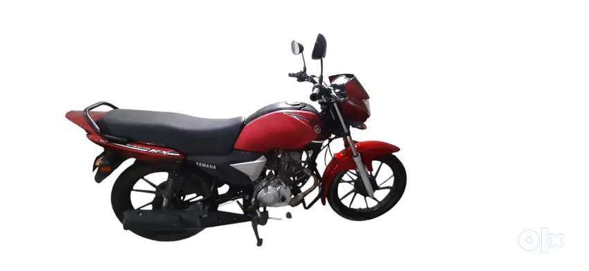 splendor plus bike olx