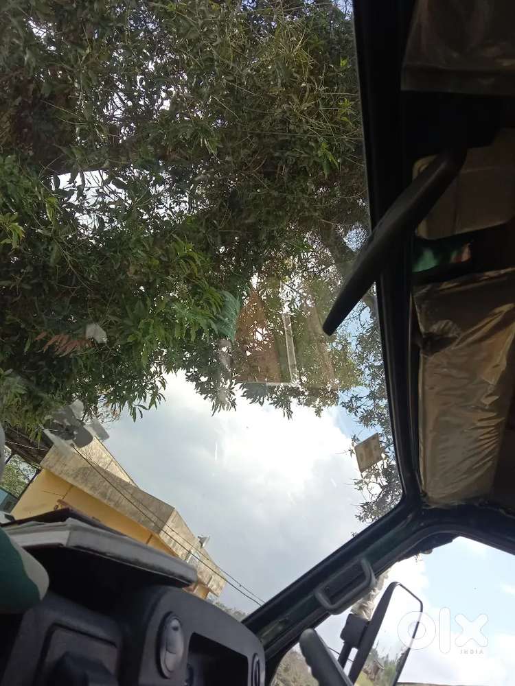 Maruti Suzuki Grand Vitara 2025 Petrol 2000 Km Driven