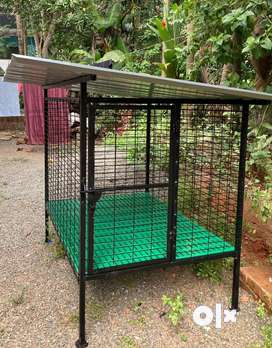 Olx dog kennels for sale best sale