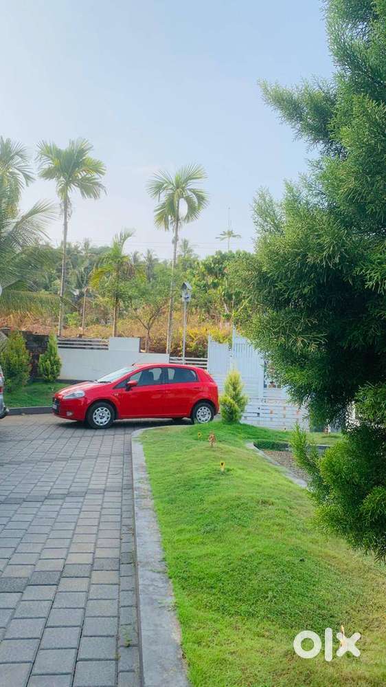 Fiat Punto 2011 Petrol 85000 Km Driven