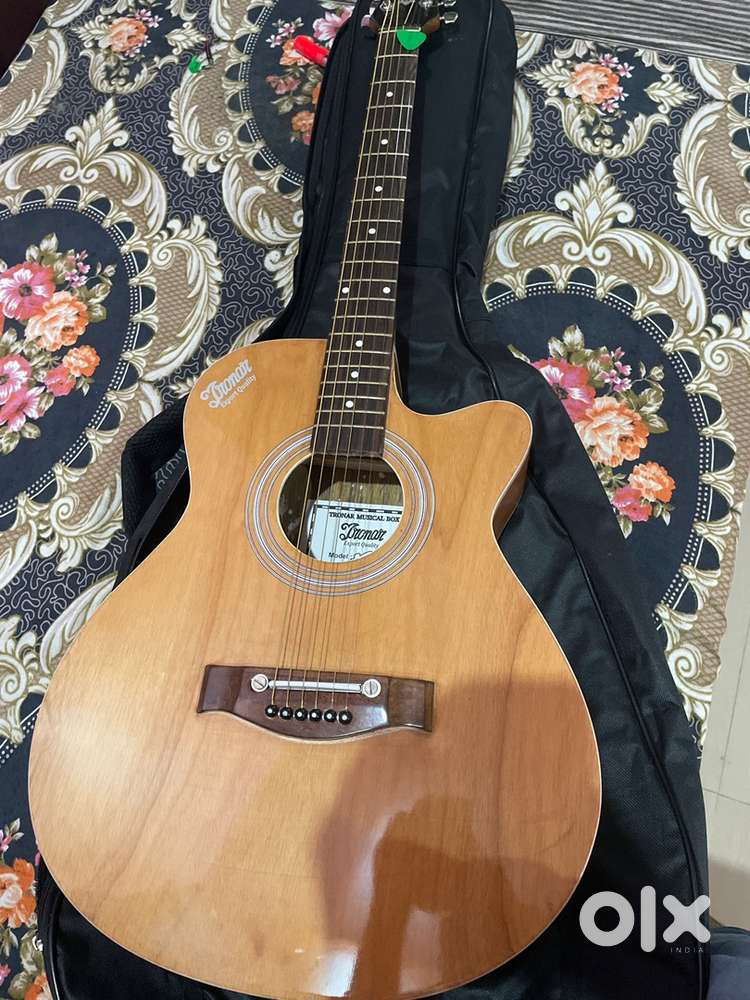 Guitar customize