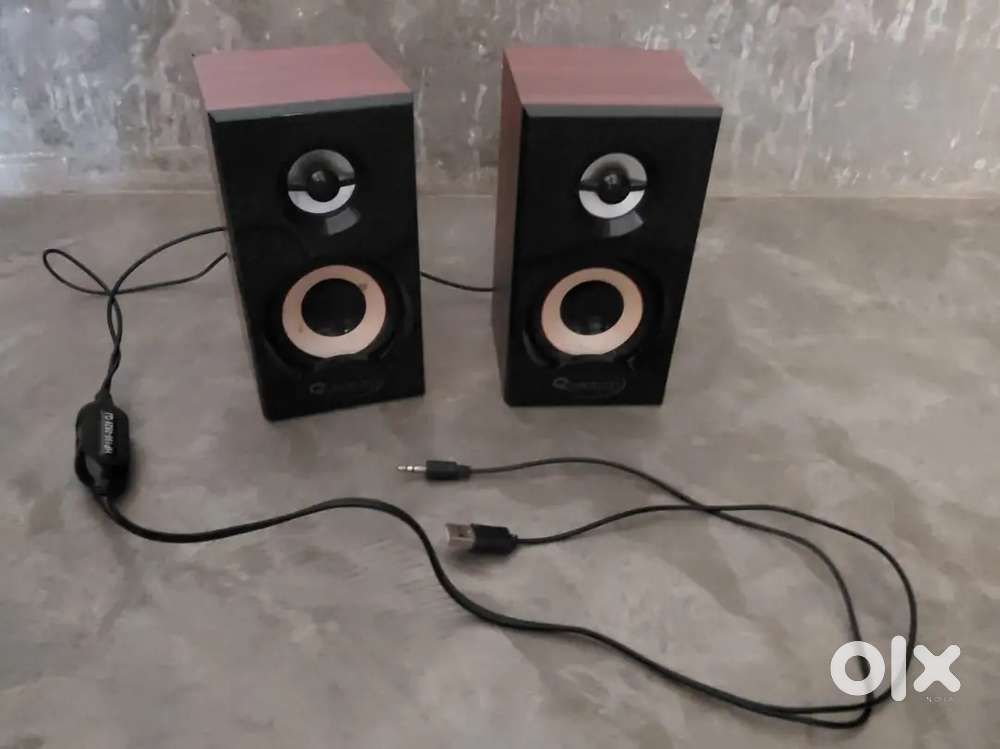 Computer Speaker