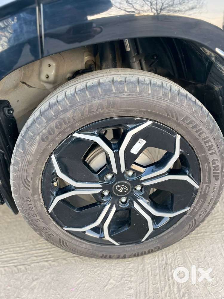 Tata Curvv Creative Plus S 1.5 Kryojet Diesel 6mt, 2024, Diesel