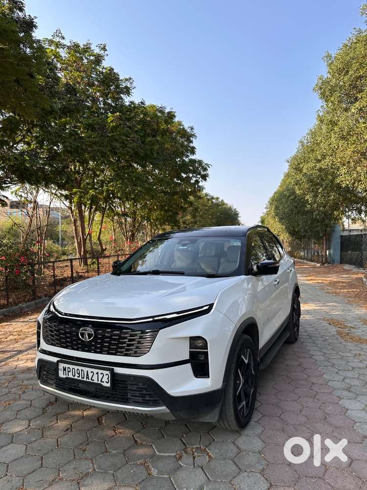 Tata Safari Accomplished Plus 6 Str Dual Tone At, 2023, Diesel