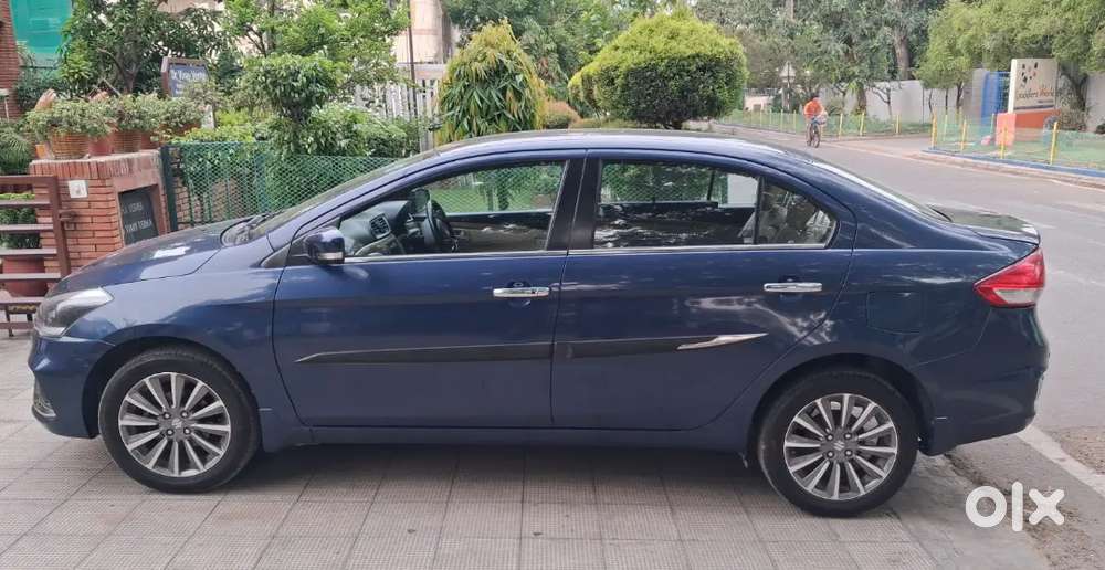 Well Maintained Single Owner Ciaz Alpha Maruti Suzuki