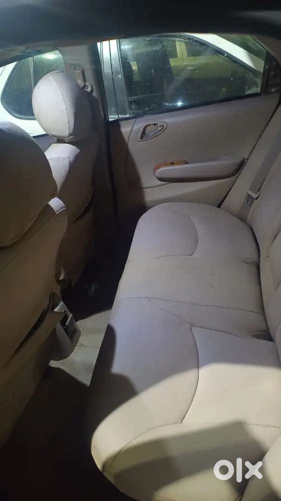 Honda City Zx (petrol + Cng) – Excellent Condition