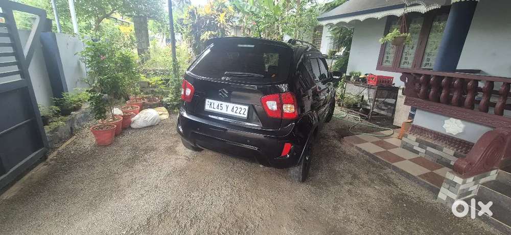 Maruti Suzuki Ignis Alpha 2025