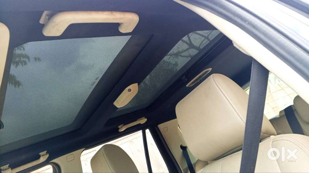 Original Paint And Body