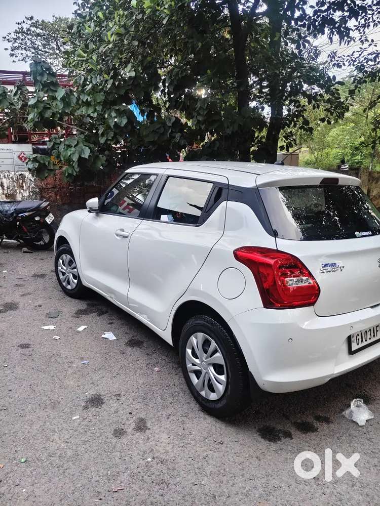 Swift 2024 (2 Year Old)