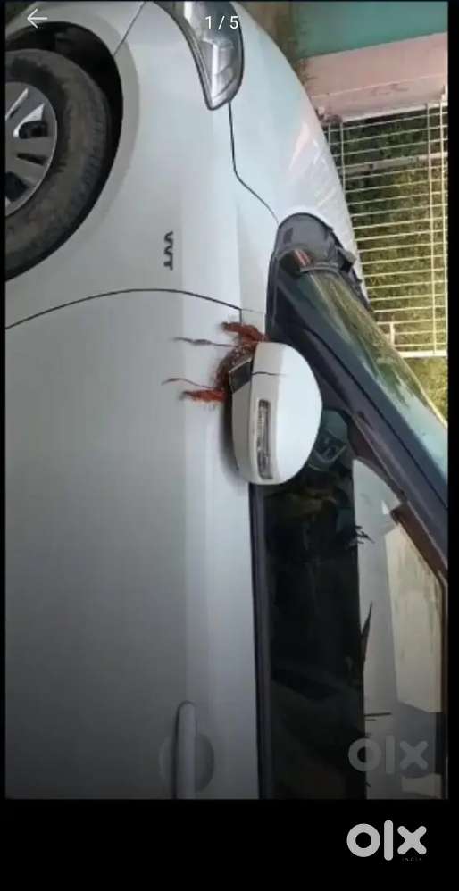 Koi Problem Nhi Hai Car Me