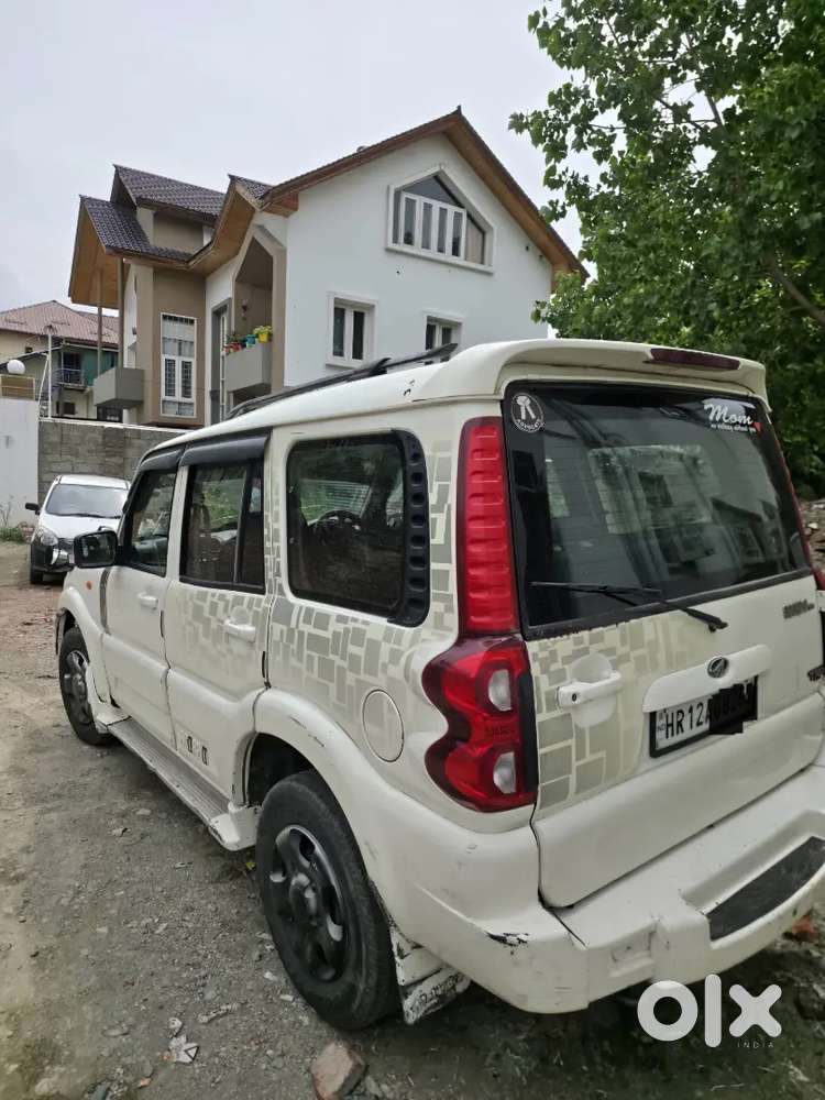 Scorpio Mhawk Talking Kashmiri Owner