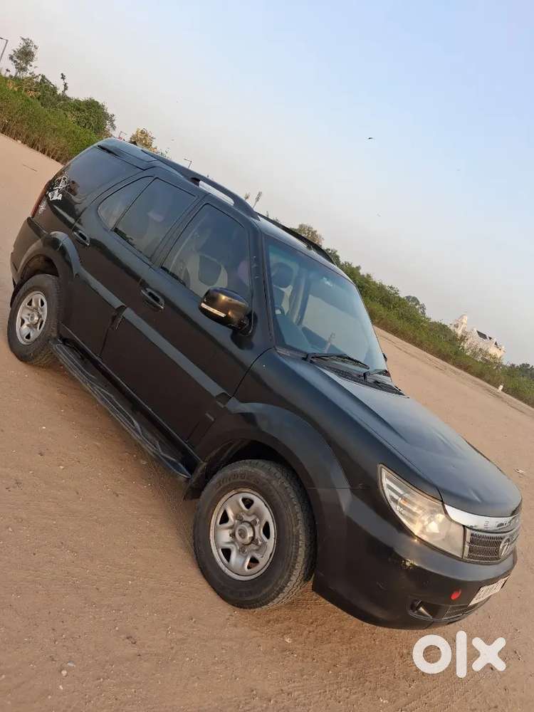 Safari Storme