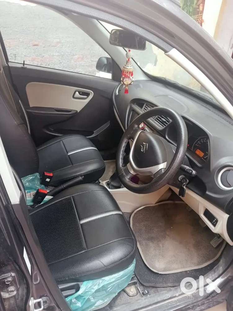 Bumper To Bumper Janeman Paint