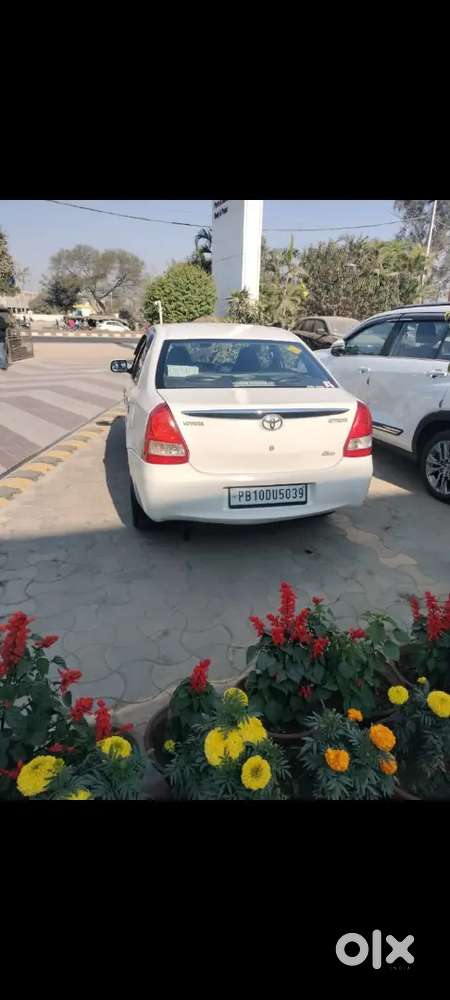 Area Jagraon