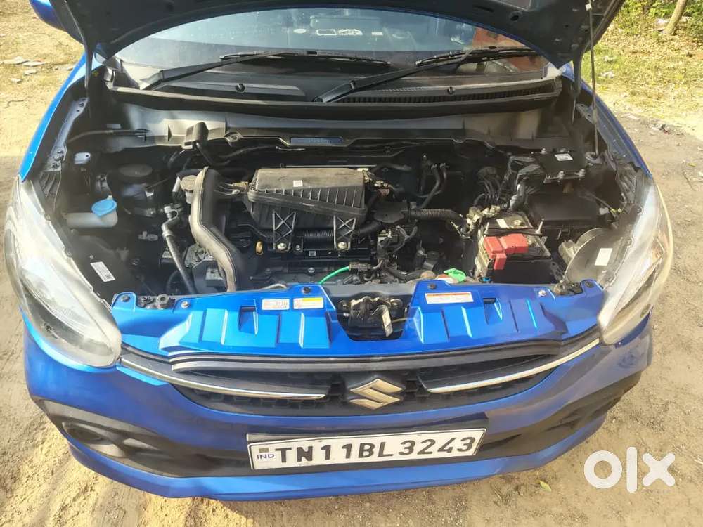 Maruti Suzuki Celerio Xvi 2024 Just Rs-5,25,000