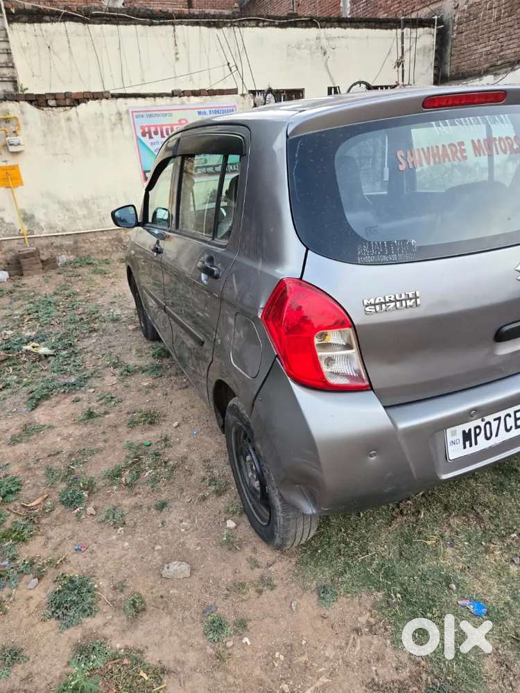 Celerio Sall