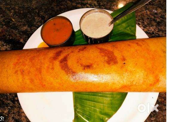 Dosa South Indian Chef Urgent Requirement