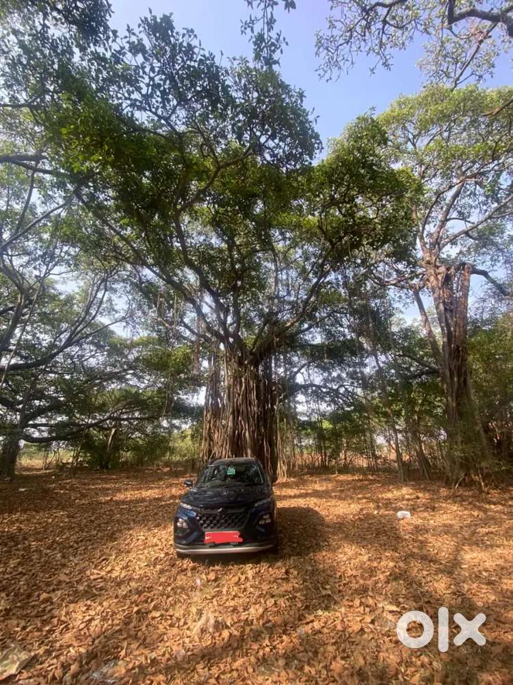 Maruti Suzuki Fronx 2023 Petrol Well Maintained