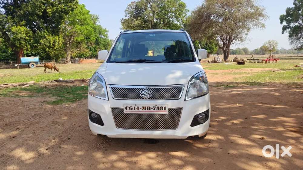 Maruti Suzuki Wagon R Flex Fuel 2013
